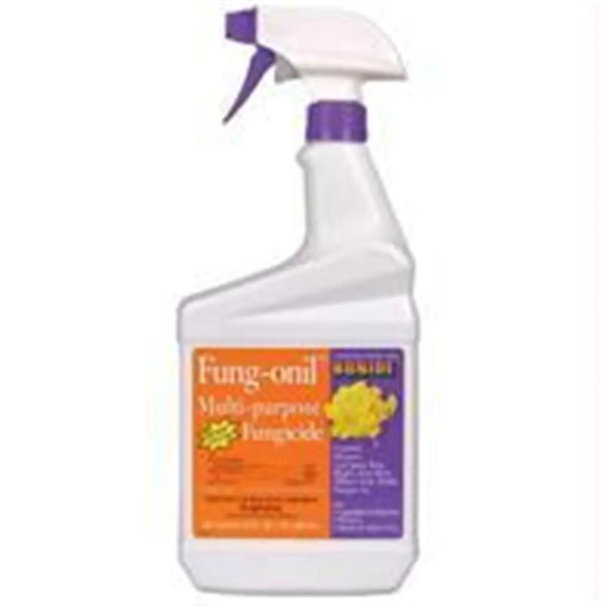 212 MAIN P-Fungonil Multi-Purpose Fungicide, 1 Qt Ready-to-Use Trigger Spray (No Mix Solution) for Outdoor Garden & Vegetable Gardens, Excellent Control of Plant Diseases & Major Garden Disease Problems on Ornamental Trees & Shrubs