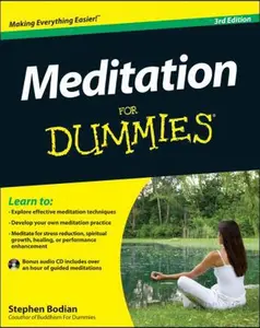 USED-Meditation for Dummies by Stephan Bodian (Paperback)