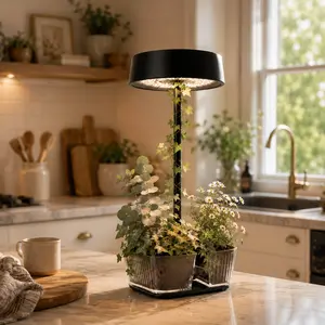 ORADO Wireless Rechargeable Table Lamp with Acrylic Planter – Cozy Minimalist Desk Light for Home Decor