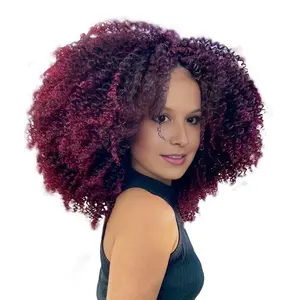 Afro Kinky Curly Glueless Wig Human Hair 250% Density Wear Go Wig HD Lace Natural Volume Beginner Friendly Wig for Women