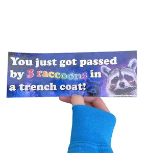 You Just Got Passed By Three Racoons In A Trenchcoat Bumper Sticker