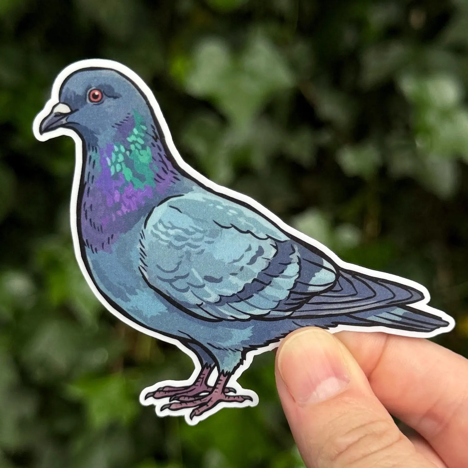 Pigeon Sticker - Rock Dove - City Bird Sticker - Urban Wildlife Sticker - Birder Gift - Pigeon Lover - Iridescent Bird