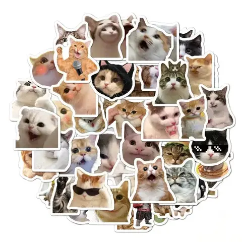 GIFT - RANDOM 5 STICKERRR