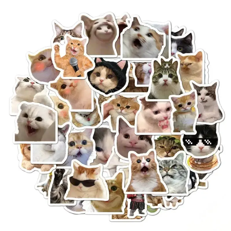 GIFT - RANDOM 5 STICKERRR