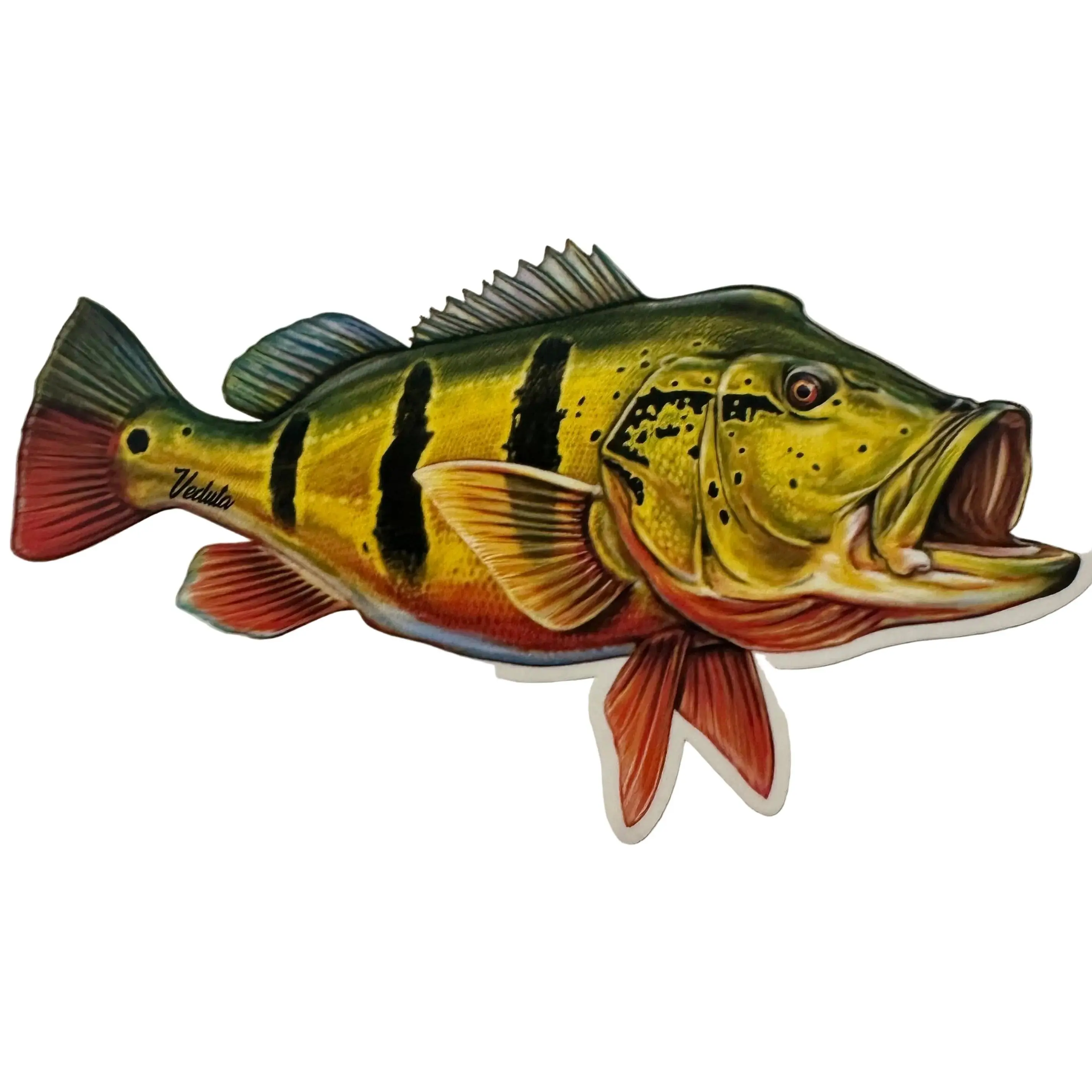 Fish Shape Freshwater Peacock Bass Vinyl Film Fishing Sticker for Boats, Coolers, Outdoor Gear