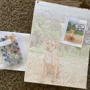 Custom Paint By Numbers BOGO