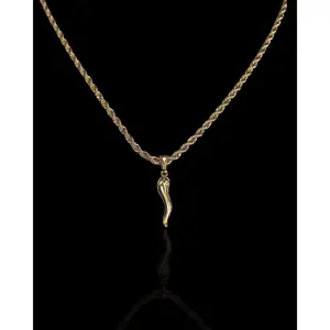 Italian Horn necklace