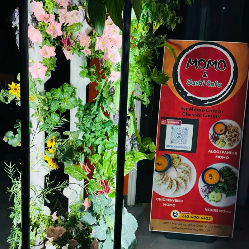 Gardyn Hydroponic