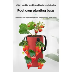 Hanging Grow Bags for Strawberries Tomatoes Hanging Planting Grow Bag Vertical Garden  Strawberry Planter Pot Aeroponic Tower Breathable Planter