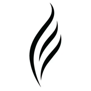 Enya Music USA shop logo