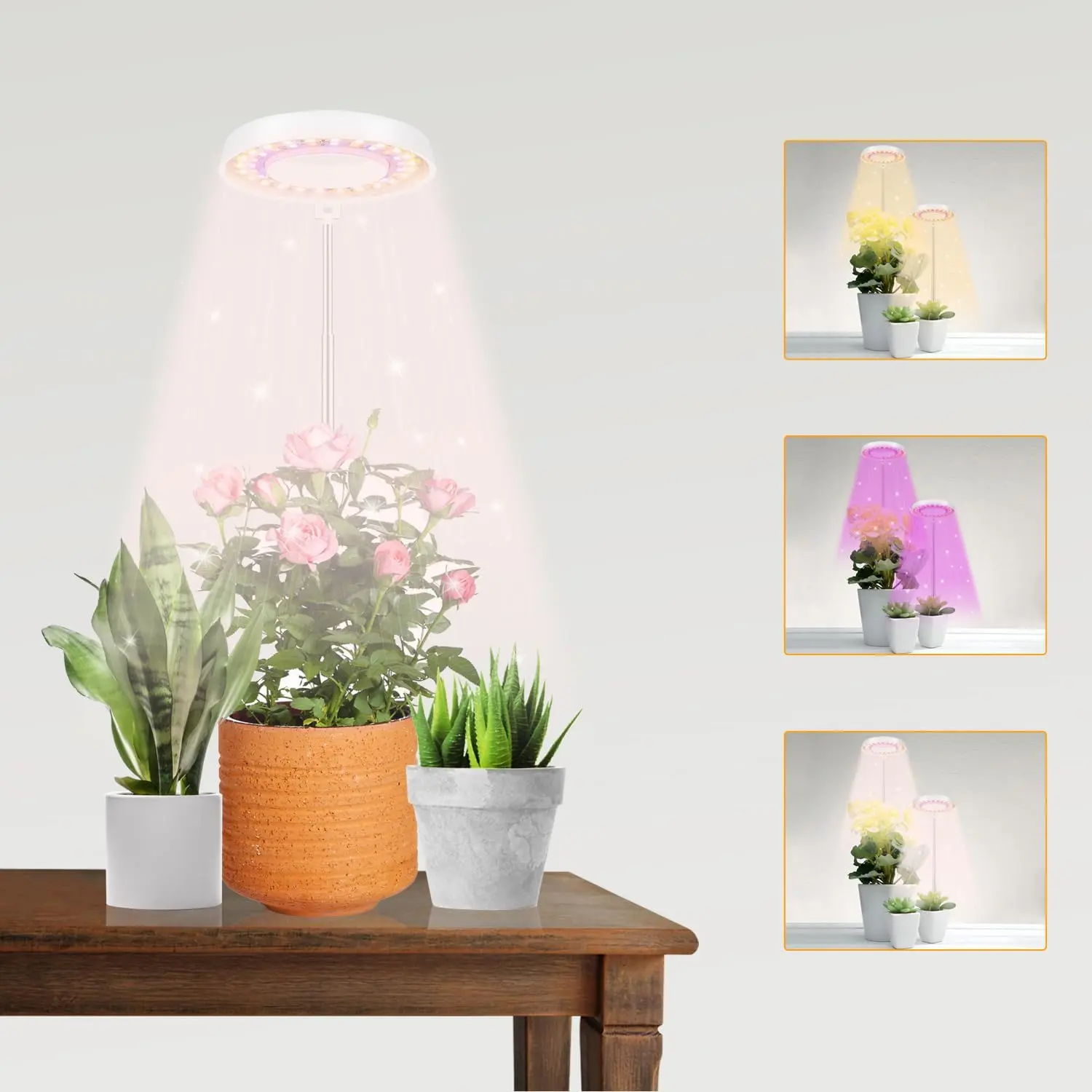 LED Grow Light, Halo  Lamp for Indoor  Growing, White Low Light for  Mini Small  Growth,Upgrade Timer 4/8/12/18 Hrs & Variable Spectrum,1 Pack