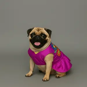 Mexican Fiesta Dress for Dogs