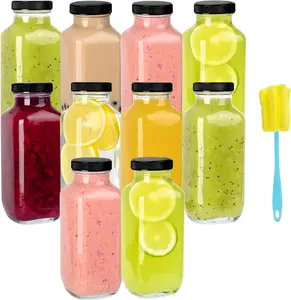 10 Pack 16oz Glass Juice Bottles with Lids -  Juicing Bottles Glass Drinking Jars Containers with Airtight Lids & Cleaning Brush -  for Juicing,Milk,Kombucha, and Storage