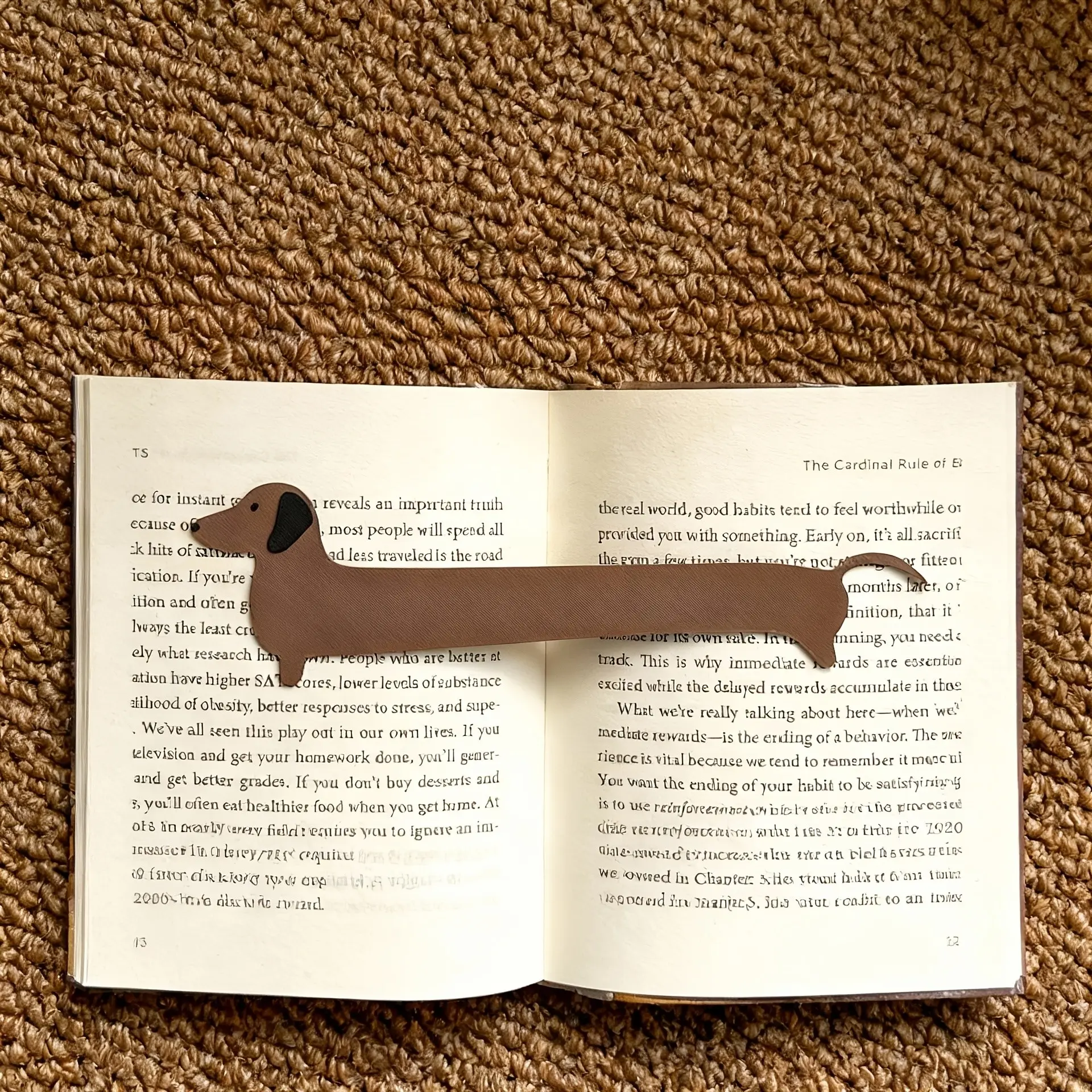 Cute Dachshund Bookmark, Long Sausage Dog Page Holder & Book Marker, Funny Reading Accessory, Dog Lover Gift for Book Lovers, Book Accessories, Book Page Markers