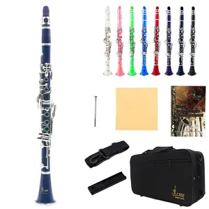 17 Key Bb Clarinet, Professional Clarinet with Accessories & Case, Musical Instrument for Students & Adults, Birthday Gift