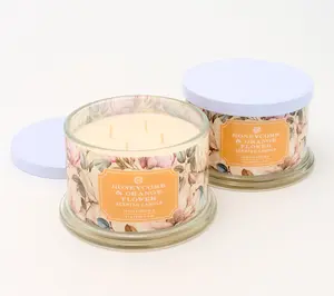 QVC HomeWorx by Slatkin + Co. 2-Pack 18oz Honey & Orange Flower Scented Candles for Home Decor