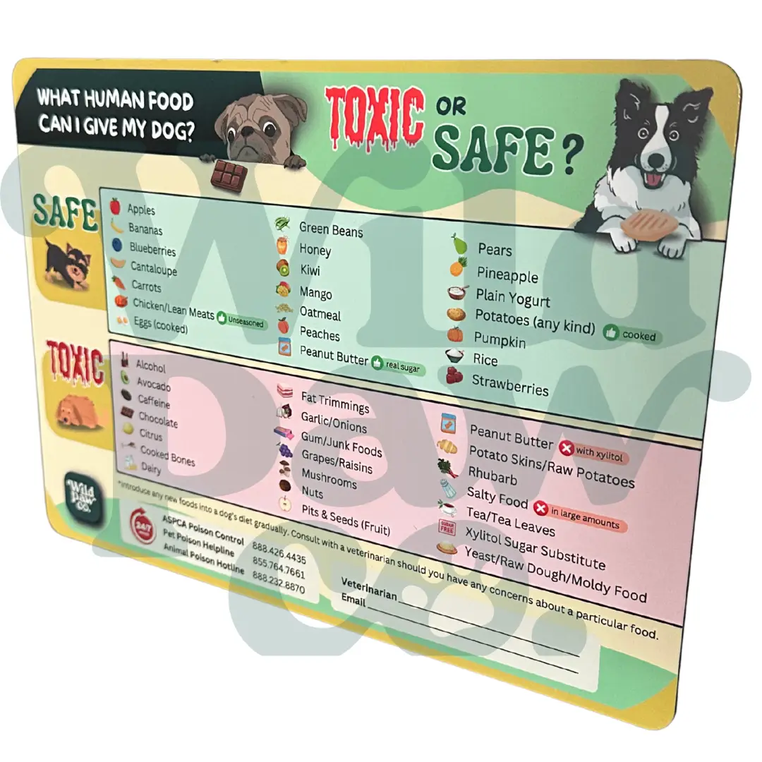 "Can My Dog/Cat Eat This?" Magnet – The Ultimate Quick Guide for Pet Parents! Animal Refrigerator Kitchen Magnet