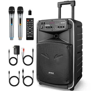 Bluetooth DSP PA System with 12" subwoofer, PA Speaker with Wireless Microphones,Rechargeable Karaoke Machine for Adults,Support USB/TWS/LINE in/FM