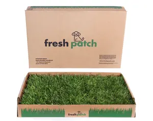 Fresh Patch REAL GRASS for Cats (Standard Size)