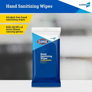Clorox Pro Hand Wipes in Resealable Pouch, 20 Ct | Clorox Alcohol Free Wipes with BZK | Clorox Hand Wipes, Travel Hand Wipes, Alcohol Free Hand Wipes, Wipes for Hands