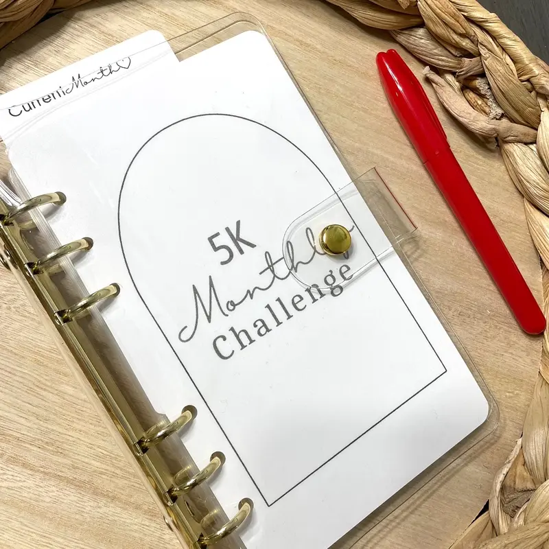 Budget-Friendly Monthly Savings Challenge Binder with 12 Laminated Challenges and Totals up to 20k