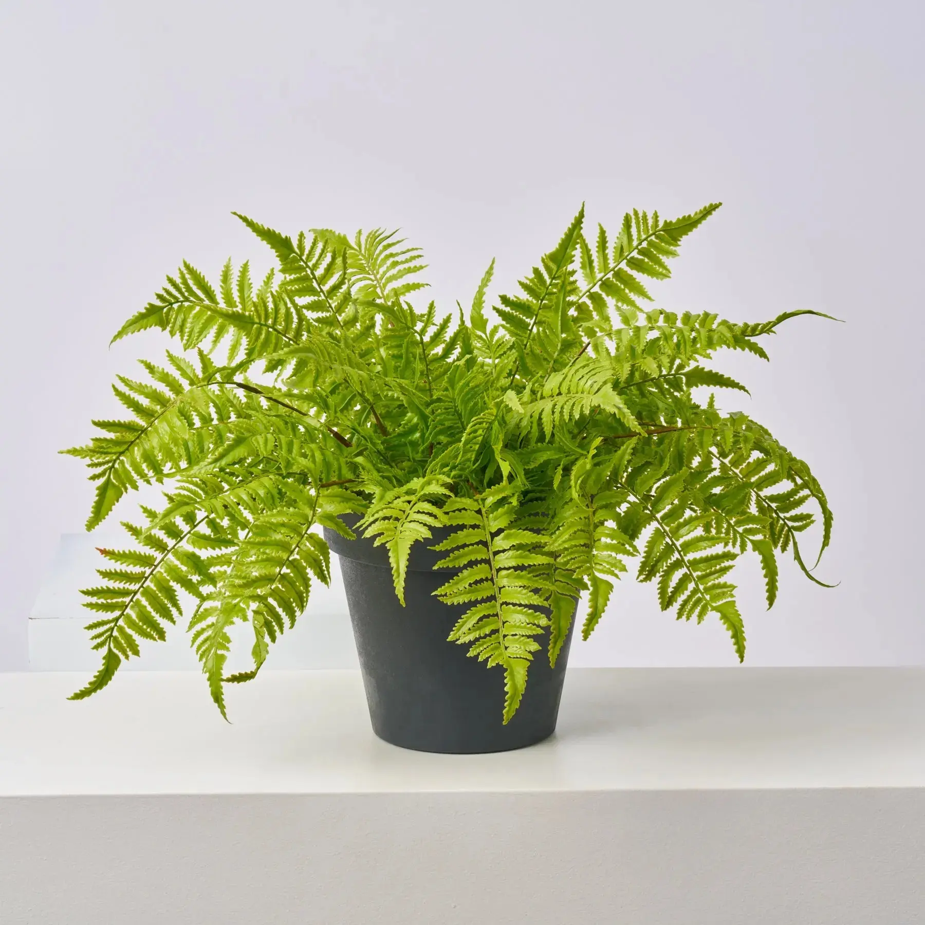 Lifelike Boston Fern Faux Floral Urn Filler, Durable Recyclable Material Fern Fillers for Outdoor Spring Everyday Home Decor Arrangements