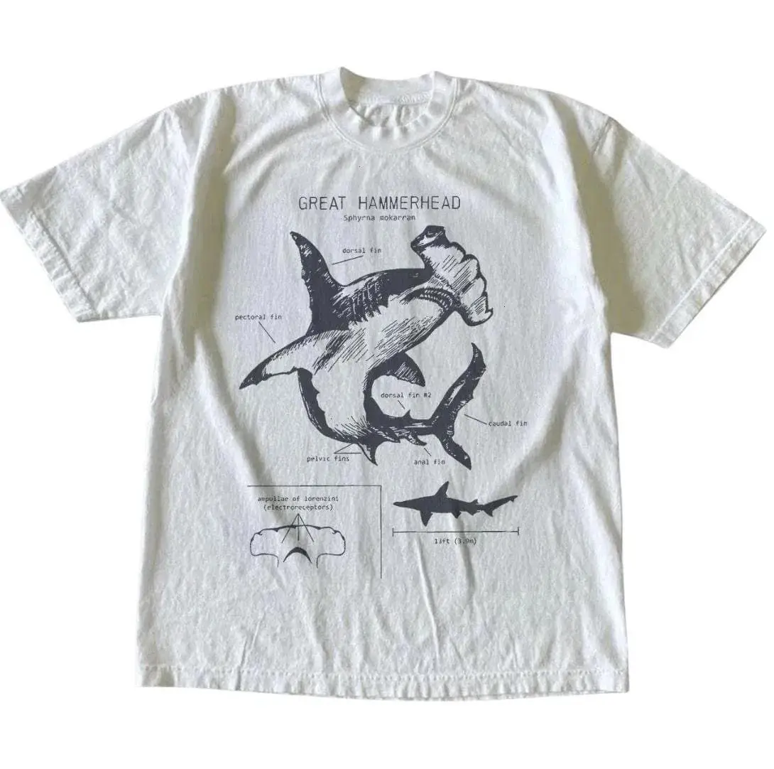 Sketch Shark Anatomy Tee - White Educational Print Shirt