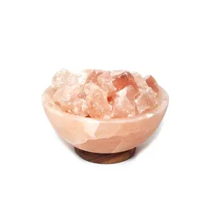 Himalayan Salt Lamp Abundance Bowl
