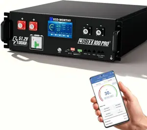 ECO-WORTHY 48V 100Ah Pro Server Rack LiFePO4 Lithium Battery, LED Display, Bluetooth & WiFi Connectivity, Low-Temperature Resistant Cells, for Home Backup Power and Solar Energy Storage