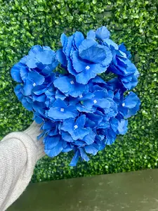 18 Inch Blue Southern Hydrangea Bush
