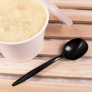 [1,000 ct] PP Plastic Medium Weight Soup Spoons Bulk Box, Black