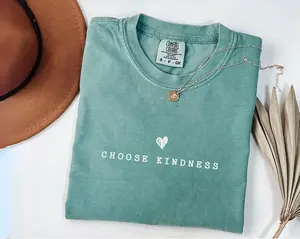 Comfort Colors Choose Kindness Shirt, Soft Cotton Crewneck Shirt for Men and Women, Gift for Him or Her, Unisex Stylish