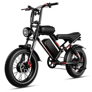 2000W Dual Motor All Wheel Drive S8 Electric Bike 25Ah Battery Max Speed 31MPH 50 Miles Range 330 Lbs Max Load 20 Inch Off Road Tires 7 Speed Adjustable App Control Hydraulic Brakes Front Rear Suspension Front Rear Lights