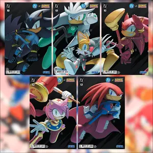 DC X SONIC THE HEDGEHOG #1-5 CONNECTING COVERS