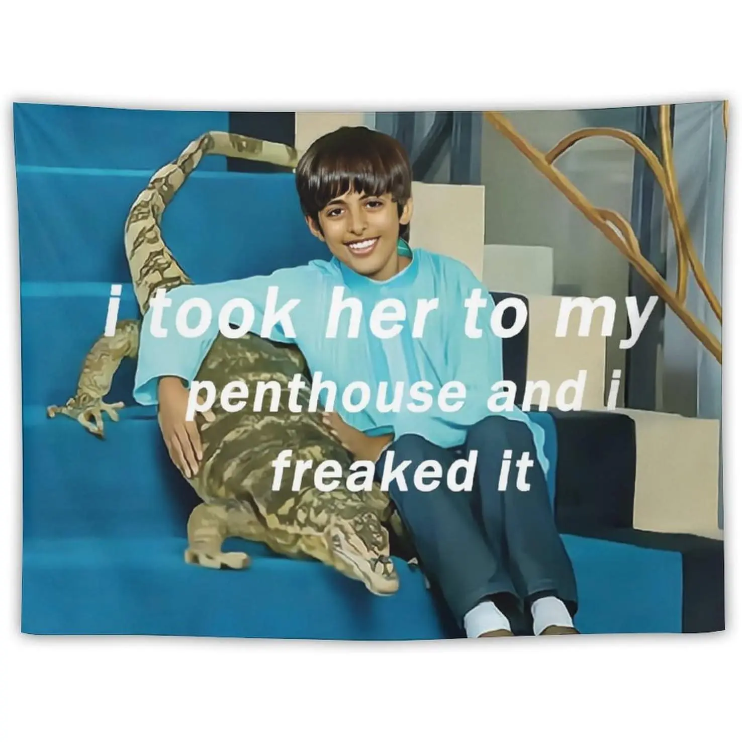 I Took Her To My Penthouse and I Freaked It Ravi Tapestry for Bedroom Aesthetic, Funny and Meme Tapestries for College Dorm and Living Room - Small Size 30x40
