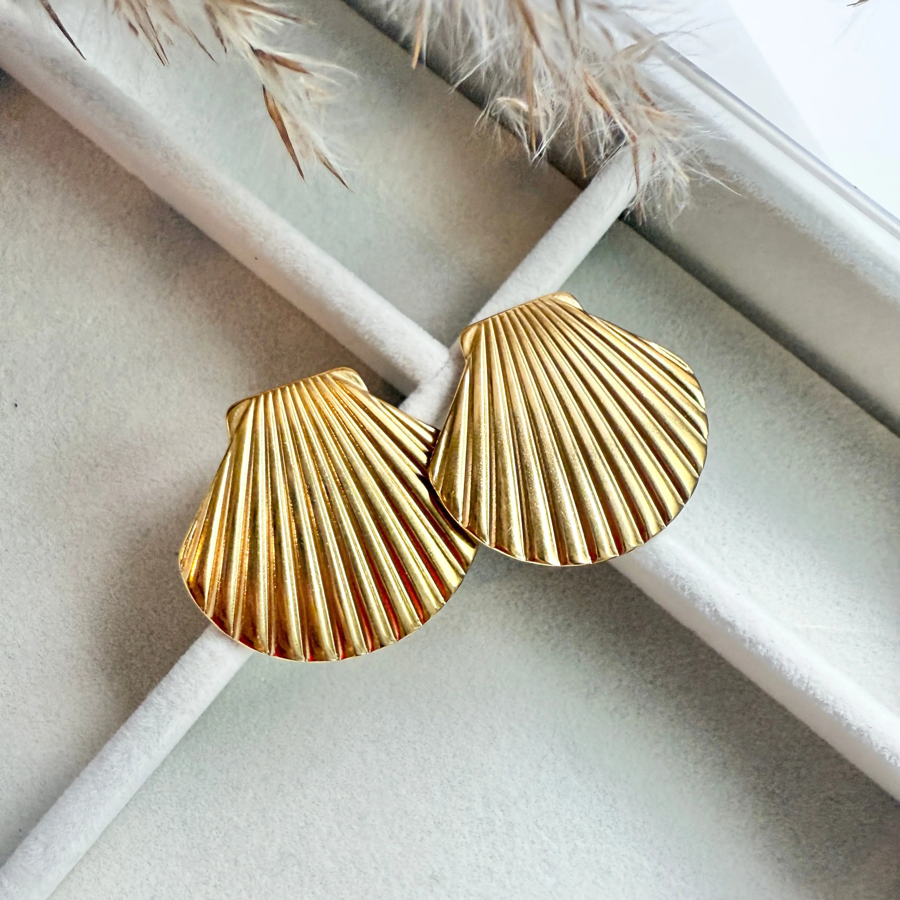 Shell Earrings