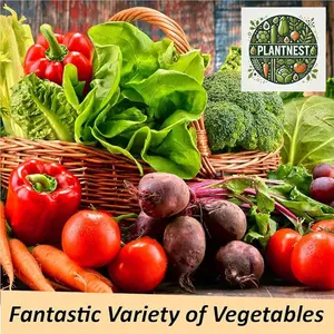 Plant Nest Seeds Home Garden Collection - 30 Pack with Non-GMO Heirloom Vegetable, Fruits, Herb Seed Varieties for Planting - Plant & Grow Survival Food & Emergency Preparedness Gear