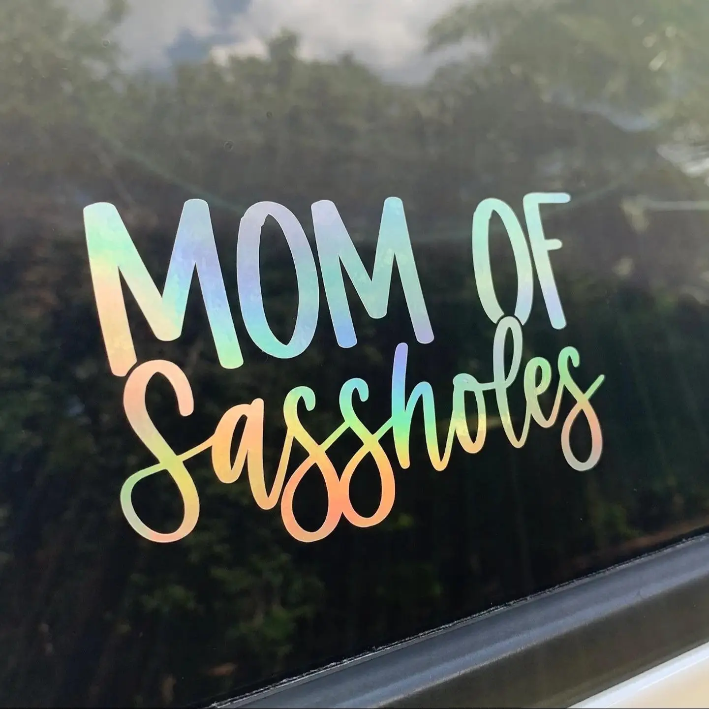 Mom of Sassholes Car Sticker, Waterproof Vinyl Bumper Sticker, Funny Car Decals for Car, Auto, Motorcar, Windows, Truck, Laptop