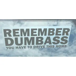 Remember Dumbass You Have To Drive This Home funny car sticker decal