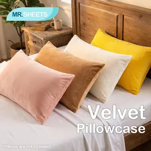 NTBAY Luxury Crystal Velvet Pillow Shams (Set of 2), Elegant Lustrous Velvet Covers, High-End Decorative Bedding, Soft & Wrinkle-Free