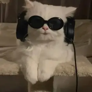 Christopher L Bullard