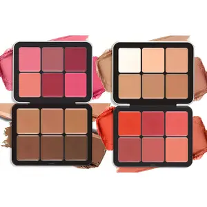 6 Color Concealer & 6 Color Blush Palette, Long Lasting Radiant Makeup Palette, Facial Makeup Tools for Daily Use, Summer Makeup