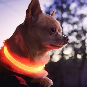 LED PET Safety Halo Style Collar for Dogs - Glow in the Dark Collar