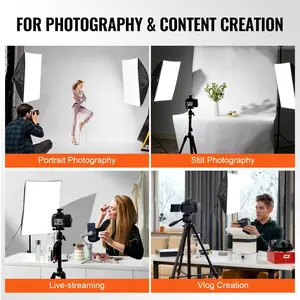 Father's Day Gift VEVOR Softbox Lighting Kit 20 in x 28 in 30W 5500K LED Bulbs Adjustable Stand