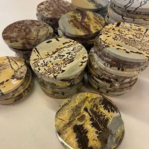 Picture Jasper Crystal Coaster