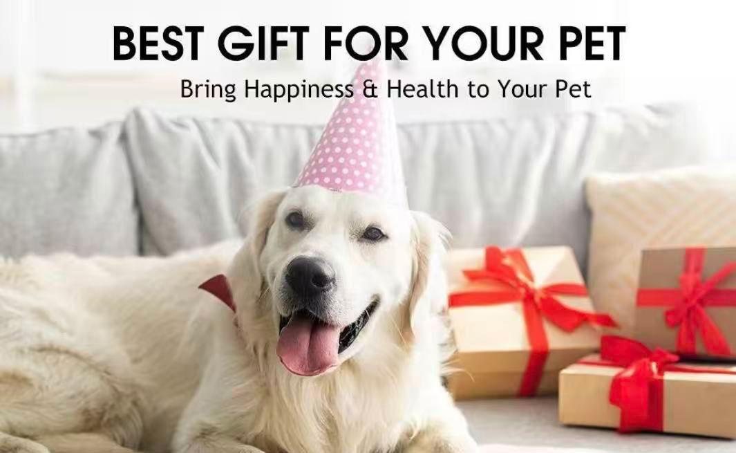 USB Rechargeable Interactive Cat Toy Ball, 1 Count Automatic Pet Exercise Toy, Motion Activate Electric Cat Toy, Pet Supplies for Indoor Outdoor Use, Valentine's Day Gift