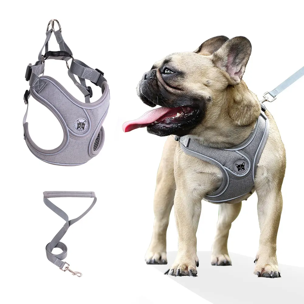 Dog Harness with No Tangle Leash Set, No Pull Adjustable Step in Dog Collars Harness with Breathable Padded Vest Harness, Frenchie Harness for Small Medium Dogs and Puppy Harness Training and Running