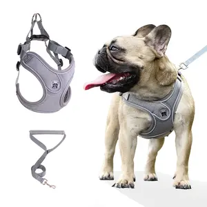 Dog Harness with No Tangle Leash Set, No Pull Adjustable Step in Dog Collars Harness with Breathable Padded Vest Harness for Small Medium Dogs Training and Running