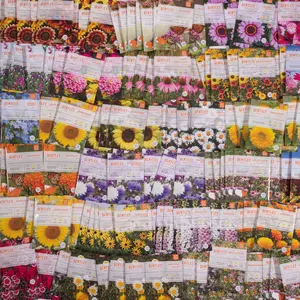 Bulk 500 Piece Eastern Region Flower Seed Packets