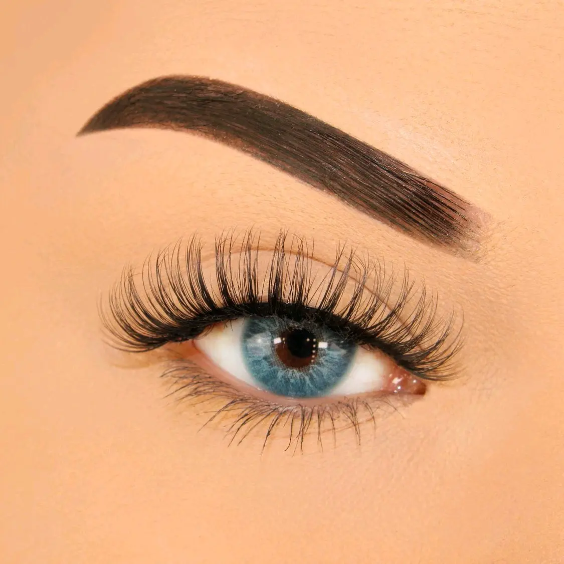 Bella Lashes